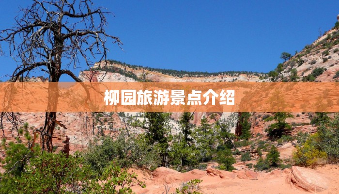 教程辅助“微乐广东麻将免费专用神器”开挂(透视)辅助教程