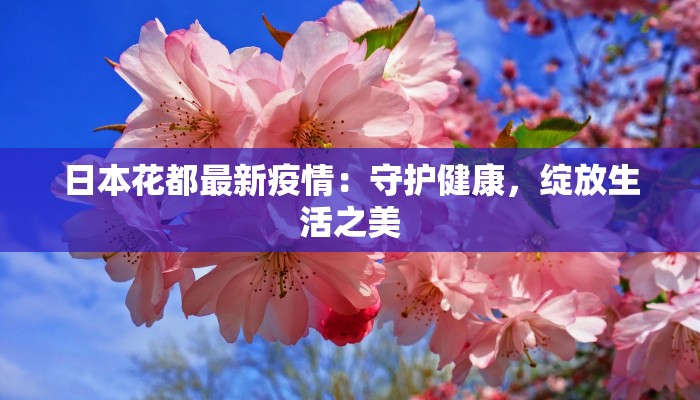 教程辅助“点点长牌开挂辅助”(透视)其实确实有挂