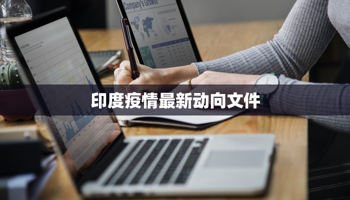 辅助神器“海港玩有没有挂”开挂详细教程