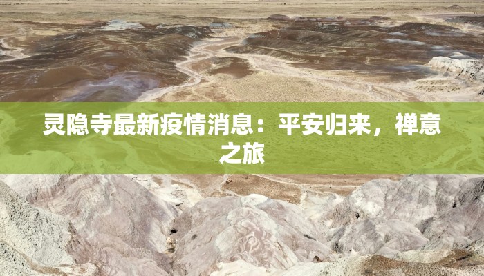 辅助神器“灵动休闲如何开挂视频”其实确实有挂 辅助神器“灵动休闲如何开挂视频”其实确实有挂