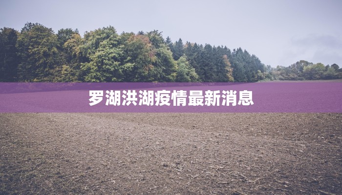 玩家辅助神器“青龙大厅有开挂透视吗”2025开挂教程步骤