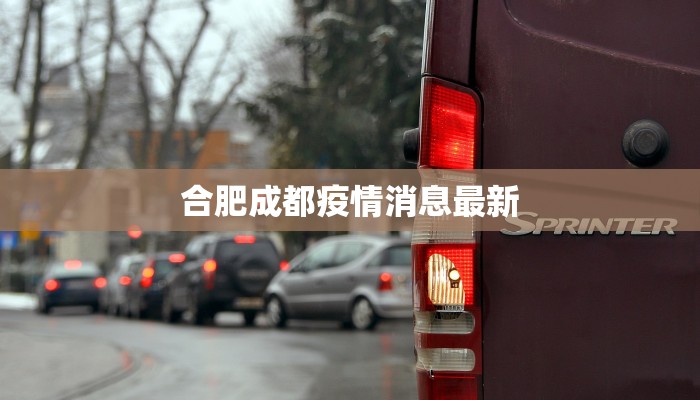 辅助神器“新卡农金花挂有没有”开挂(透视)辅助教程 辅助神器“新卡农金花挂有没有”开挂(透视)辅助教程