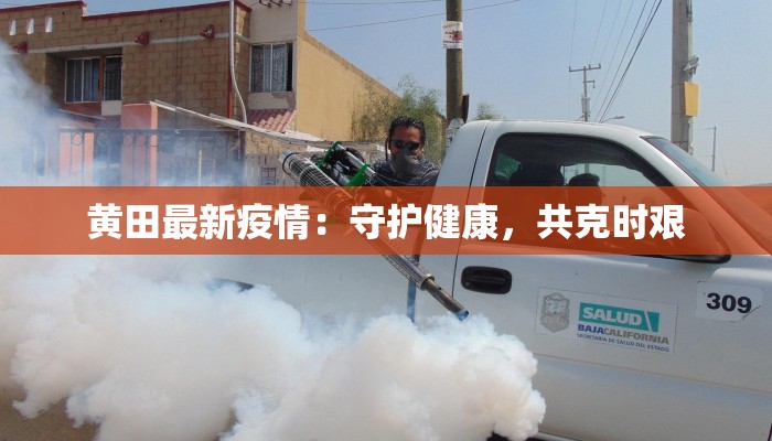 教程分享“广西跑胡子透视挂”开挂辅助软件教程