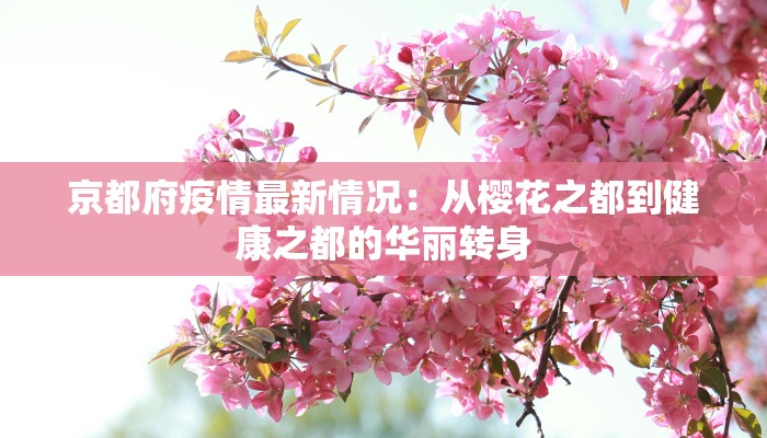 辅助神器“博乐龙江填大坑辅助”开挂详细教程 辅助神器“博乐龙江填大坑辅助”开挂详细教程