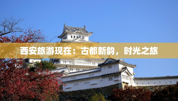 辅助神器“杭州都莱到底能不能开挂”开挂(透视)辅助教程 辅助神器“杭州都莱到底能不能开挂”开挂(透视)辅助教程