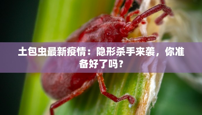 辅助神器“哈哈长沙麻将有没有开挂吗”2025开挂教程步骤 辅助神器“哈哈长沙麻将有没有开挂吗”2025开挂教程步骤