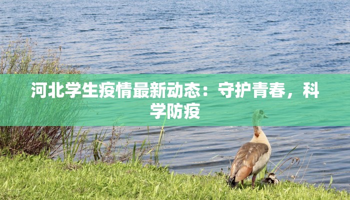 辅助神器“越乡游十三张怎么开挂”开挂(透视)辅助教程