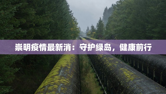 辅助神器“趣玩贵州麻将到底有挂吗”(透视)其实确实有挂