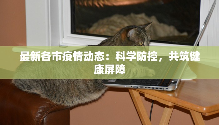 辅助神器“营口92麻将的规律”开挂(透视)辅助教程 辅助神器“营口92麻将的规律”开挂(透视)辅助教程