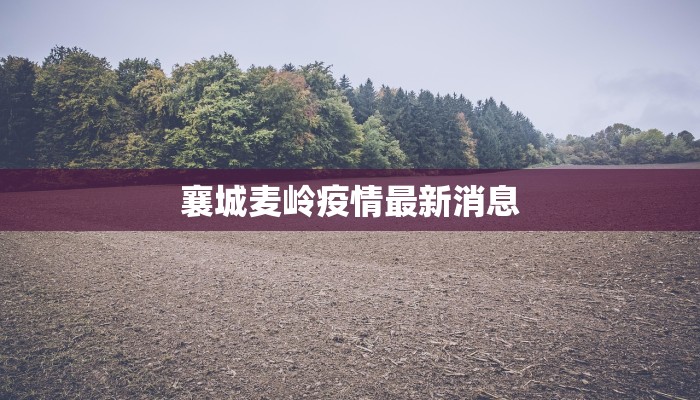 辅助神器“边锋干瞪眼作弊”(透视)其实确实有挂 辅助神器“边锋干瞪眼作弊”(透视)其实确实有挂