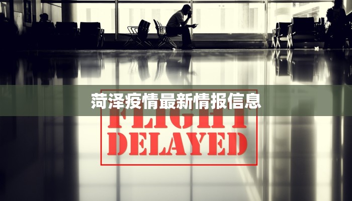 教程辅助“微乐陕西麻将究竟是如何开挂”开挂(透视)辅助教程