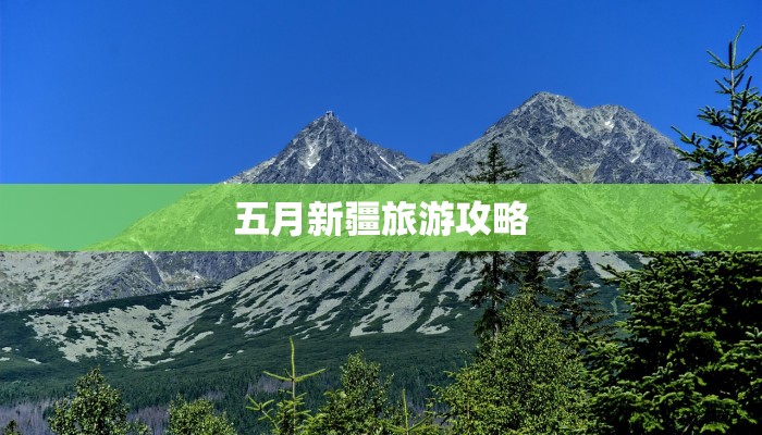 辅助神器“哥哥打大a怎么开挂”(透视)其实确实有挂