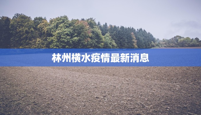 辅助神器“微乐跑得快开挂视频”(透视)其实确实有挂 辅助神器“微乐跑得快开挂视频”(透视)其实确实有挂