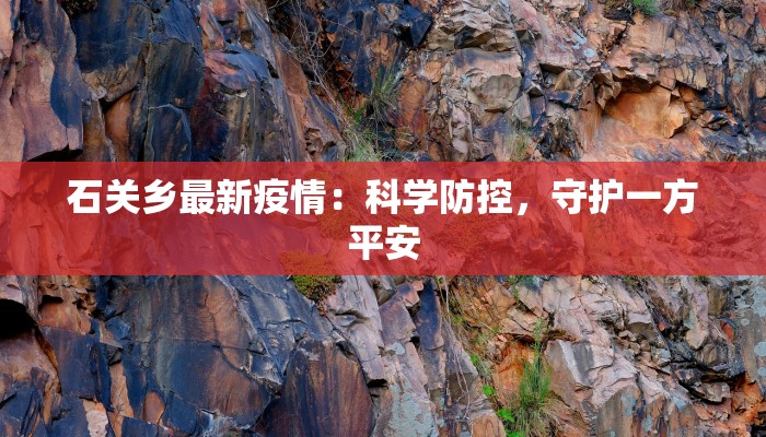 分享实测“今日长牌开挂辅助软件”(原来确实是有挂) 