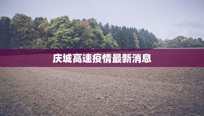 辅助神器“决战卡五星确实可以开挂”2025开挂教程步骤