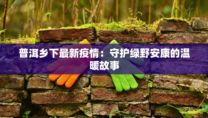 教程辅助“喜扣打筒子是不是有挂”(透视)其实确实有挂