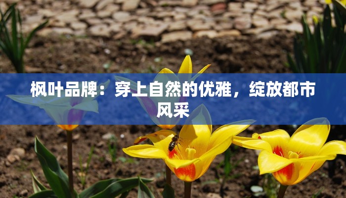 教程辅助“打哈儿麻将外卦神器”其实确实有挂 教程辅助“打哈儿麻将外卦神器”其实确实有挂