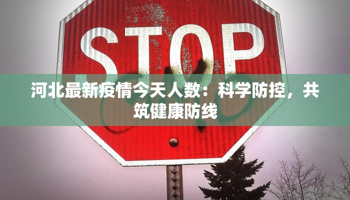 分享实测“微乐陕西麻将开挂神器”(原来确实是有挂) 