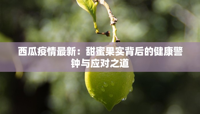 教程分享“新悠悠系列有没有挂”2026透视开挂