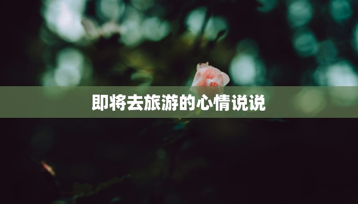 辅助神器“山水云南麻将开挂神器”开挂详细教程