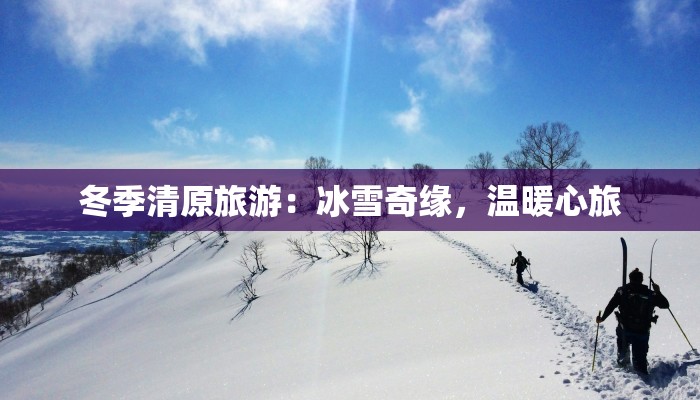 分享实测“太浪扶余麻将开挂神器”(原来确实是有挂) 分享实测“太浪扶余麻将开挂神器”(原来确实是有挂)