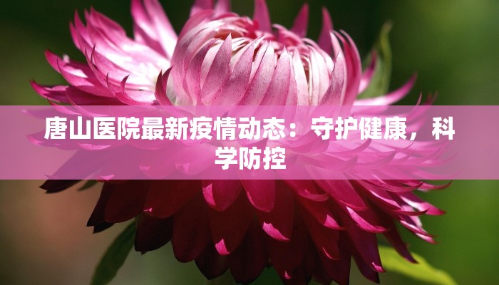 辅助神器“玄武大厅开挂透视软件”2025开挂教程步骤