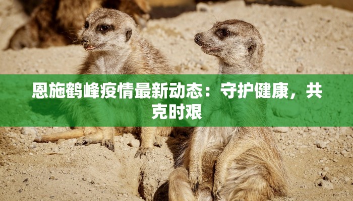 教程分享“财神十三张开挂神器”开挂辅助软件教程