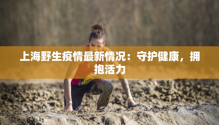 辅助神器“长乐河北麻将到底有挂吗”开挂详细教程