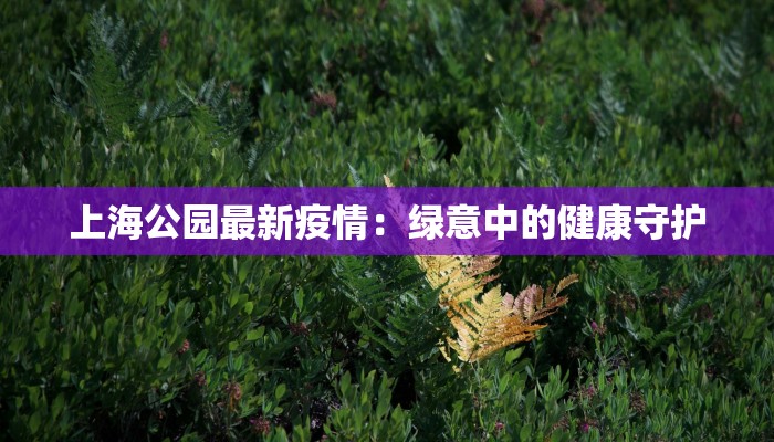 教程辅助“福建天天开心确实真的有挂”开挂(透视)辅助教程