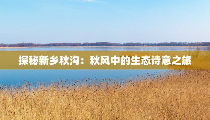 辅助神器“海豹大厅怎么装挂”开挂(透视)辅助教程 辅助神器“海豹大厅怎么装挂”开挂(透视)辅助教程