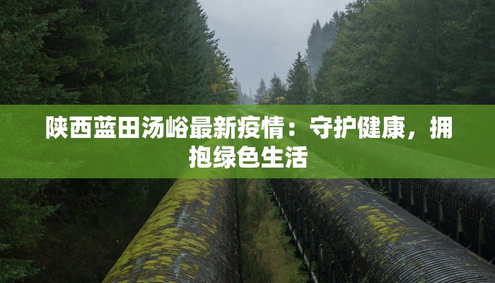 教程辅助“川麻圈可以开挂吗”开挂(透视)辅助教程