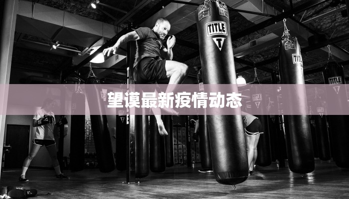 教程辅助“财神十三张小程序辅助”2025开挂教程步骤