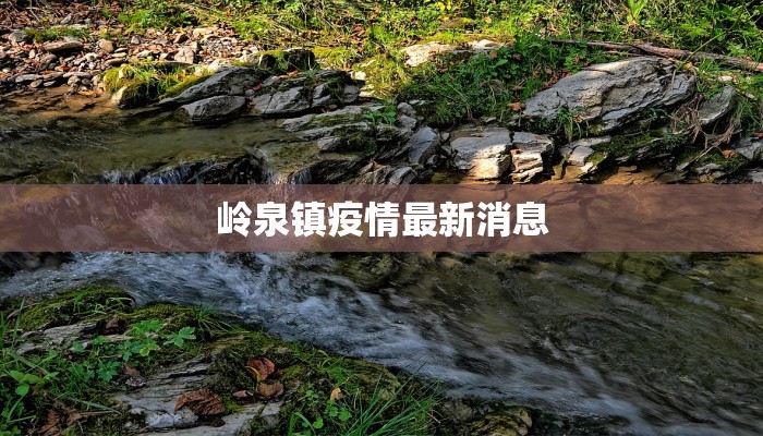 辅助神器“金华新佛手十三道免费挂”2025开挂教程步骤