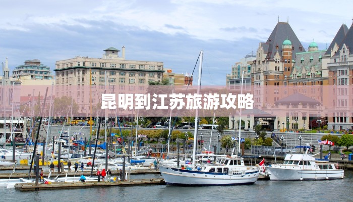 辅助神器“开心联盟辅助器”(透视)其实确实有挂