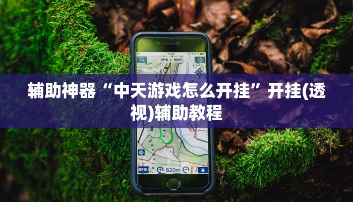 辅助神器“中天游戏怎么开挂”开挂(透视)辅助教程