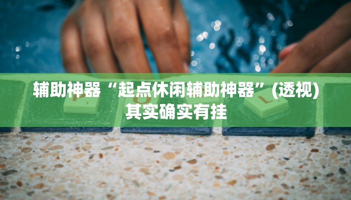 辅助神器“起点休闲辅助神器”(透视)其实确实有挂