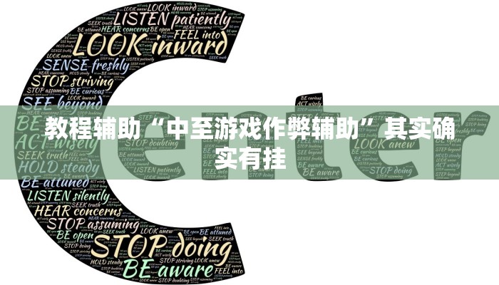 教程辅助“中至游戏作弊辅助”其实确实有挂