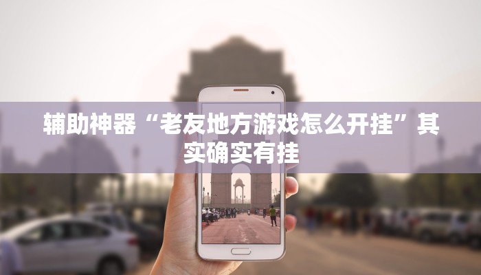辅助神器“老友地方游戏怎么开挂”其实确实有挂
