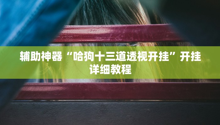 辅助神器“哈狗十三道透视开挂”开挂详细教程 辅助神器“哈狗十三道透视开挂”开挂详细教程