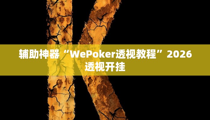 辅助神器“WePoker透视教程”2026透视开挂