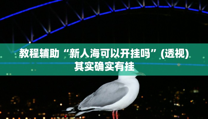 教程辅助“新人海可以开挂吗”(透视)其实确实有挂