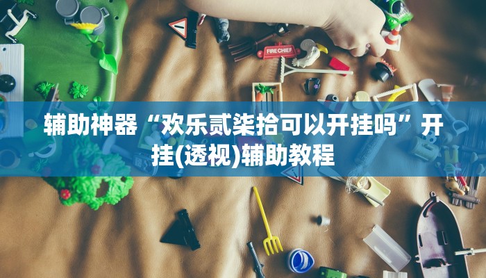 教程辅助“微乐保皇开挂教程”(透视)其实确实有挂