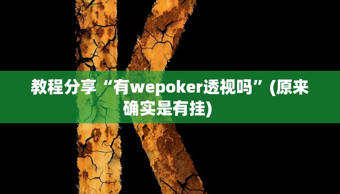 教程分享“有wepoker透视吗”(原来确实是有挂) 教程分享“有wepoker透视吗”(原来确实是有挂)