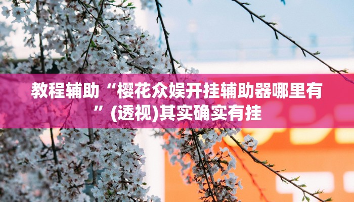 教程辅助“樱花众娱开挂辅助器哪里有”(透视)其实确实有挂 教程辅助“樱花众娱开挂辅助器哪里有”(透视)其实确实有挂