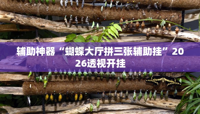 分享实测“天天卡五星辅助”(原来确实是有挂) 