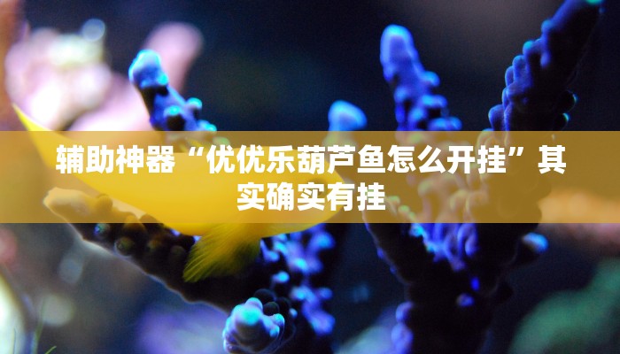 教程辅助“博雅红河棋牌开挂器”开挂详细教程 教程辅助“博雅红河棋牌开挂器”开挂详细教程