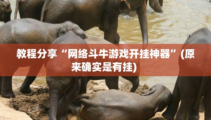 教程分享“网络斗牛游戏开挂神器”(原来确实是有挂) 教程分享“网络斗牛游戏开挂神器”(原来确实是有挂)