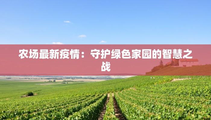 教程辅助“微乐斗地主万能透视软件”其实确实有挂 教程辅助“微乐斗地主万能透视软件”其实确实有挂