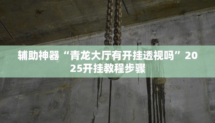 辅助神器“青龙大厅有开挂透视吗”2025开挂教程步骤
