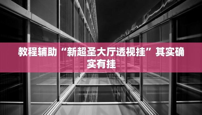 教程辅助“新超圣大厅透视挂”其实确实有挂